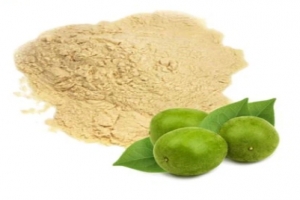Monk Extract Market Growth and Demand