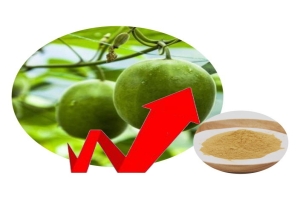 Monk Extract Price Trends