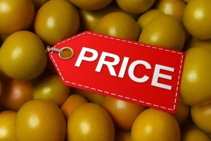 The Evolving Price Trends of Monk Fruit Extract Over the Years