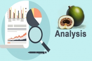 The Analysis of The Origins and Suppliers of Monk Fruit Extract