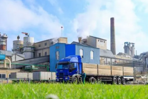 Sweetener industry and others must change their development ideas in a timely manner