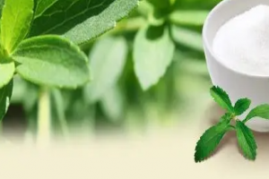 About Rebaudioside M please chat with me online 
