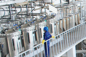 Monk fruit extract factory