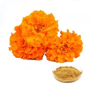 Marigold Extract