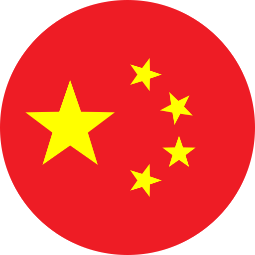 chinese_simplified