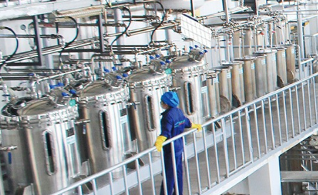Monk fruit extract factory(pic1)