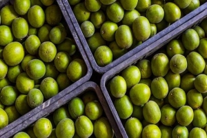 The regulation of Monk Fruit Extract (also known as Luo Han Guo extract) varies across different cou
